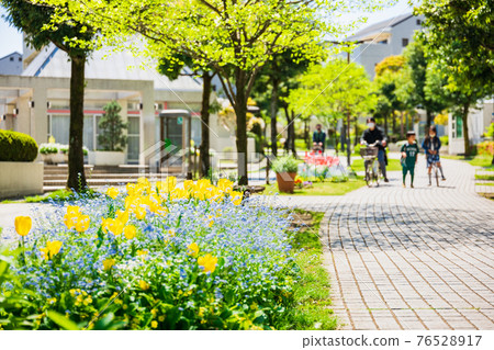 生活路上安靜的住宅區鬱金香花壇 生活路上安靜的住宅區鬱金香花壇 76528917