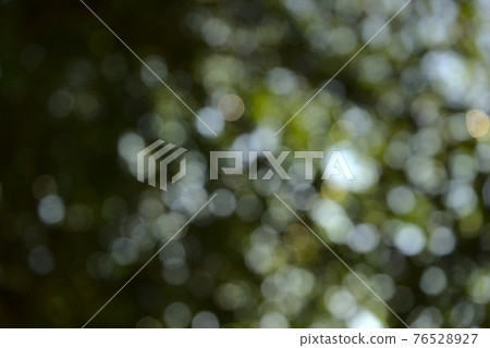 Natural green bokeh. Blurry leaves, plant, tree abstract texture background. Low angle, under the tree view, horizontal image style. 76528927