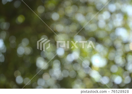 Bokeh lights under the tree. 76528928