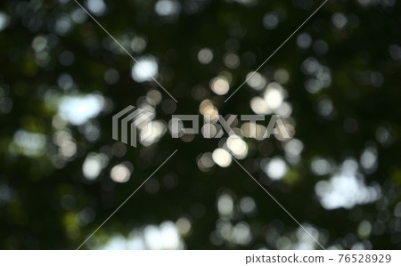 Nature bokeh. Natural reserved blurry leaves, plant, tree abstract texture background. Low angle, under the tree view, horizontal image style. Nature bokeh. Natural reserved blurry leaves, plant, tree abstract texture background. Low angle, under the tree view, horizontal image style. 76528929