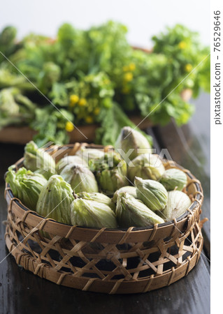 Spring wild plant 76529646