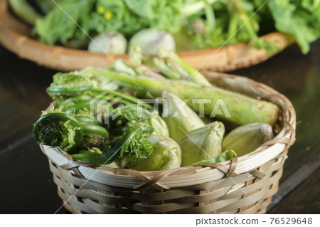 Spring wild plant Spring wild plant 76529648