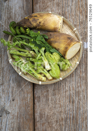 Spring wild plant Spring wild plant 76529649