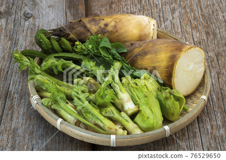 Spring wild plant Spring wild plant 76529650