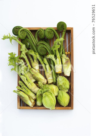 Spring wild plant Spring wild plant 76529651