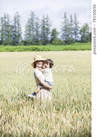 Parent and child playing in wheat field Parent and child playing in wheat field 76530656