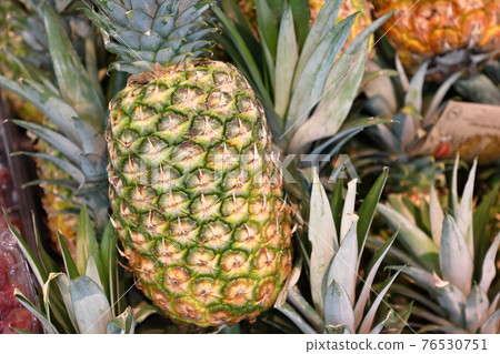 Fruit counter pine 76530751