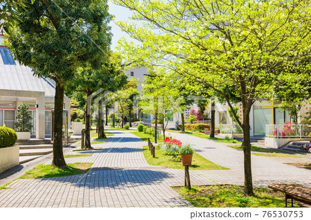 Quiet residential area, fresh green living road 76530753