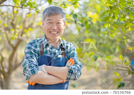 Farmer smile in orchard 76530766