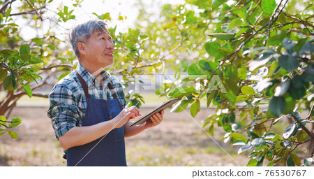 Farmer work with digital tablet 76530767