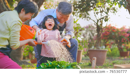 senior man watering the garden senior man watering the garden 76530777