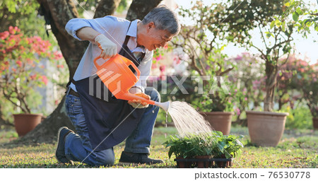 senior man watering the garden senior man watering the garden 76530778