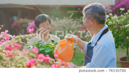 senior man watering the garden senior man watering the garden 76530780