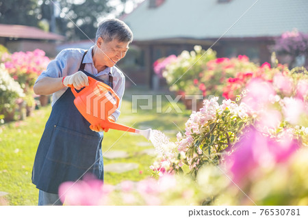 senior man watering the garden senior man watering the garden 76530781
