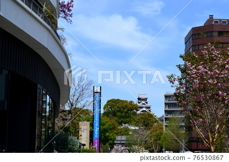 Kumamoto city area: Landscape of Kumamoto castle decorated with cherry blossoms Kumamoto city area: Landscape of Kumamoto castle decorated with cherry blossoms 76530867