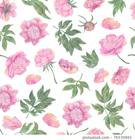 Seamless pattern with beautiful peony flowers and leaves isolated on white. Hand drawn watercolor illustration, season summer and spring concept Seamless pattern with beautiful peony flowers and leaves isolated on white. Hand drawn watercolor illustration, season summer and spring concept 76530991