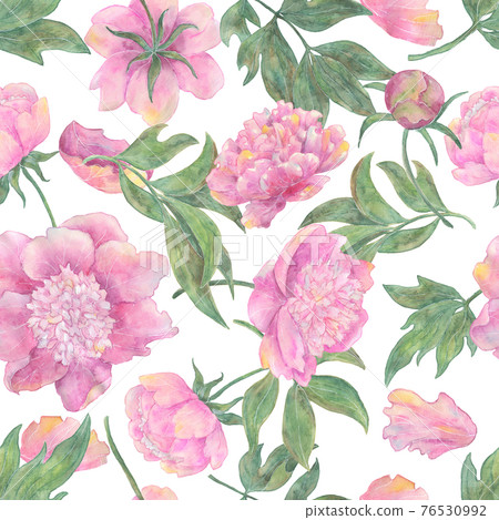 Seamless pattern with beautiful peony flowers and leaves isolated on white. Hand drawn watercolor illustration, season summer and spring concept Seamless pattern with beautiful peony flowers and leaves isolated on white. Hand drawn watercolor illustration, season summer and spring concept 76530992