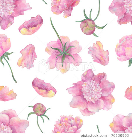 Seamless pattern with beautiful peony flowers and leaves isolated on white.  Hand drawn watercolor illustration, season summer and spring concept 76530993