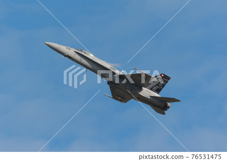 瑞士空軍F / A-18C大黃蜂 76531475