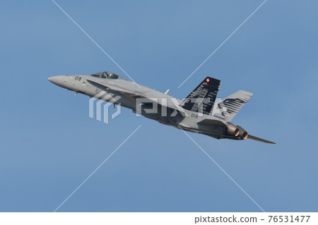 瑞士空軍F / A-18C大黃蜂 76531477