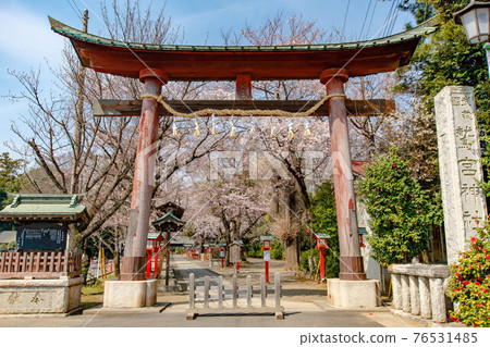 鷲宮神社舊禦鳥居 76531485