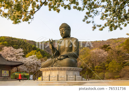 Spring at Gakwonsa Temple in Cheonan 76531736