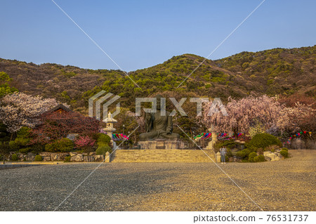 Spring at Gakwonsa Temple in Cheonan Spring at Gakwonsa Temple in Cheonan 76531737