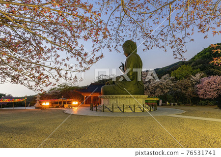 Spring at Gakwonsa Temple in Cheonan Spring at Gakwonsa Temple in Cheonan 76531741