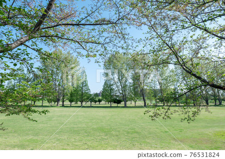 Spring scenery of Kawaguchi City, Saitama Prefecture Arakawa Riverbed April 76531824