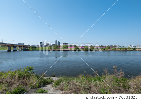埼玉縣川口市春景 荒川河床四月 76531825