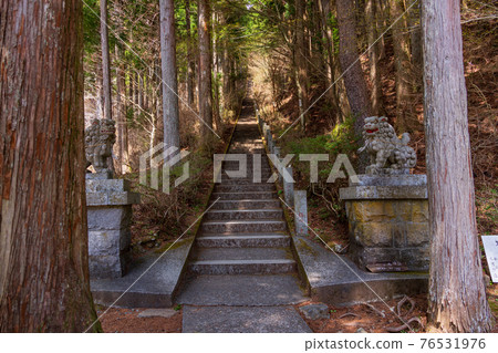 （山梨縣）山中湖村小舞神社石割神社 76531976