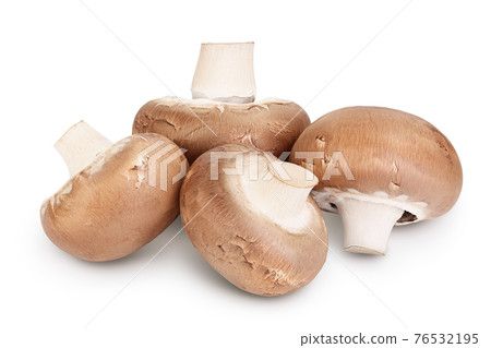 Royal Brown champignon isolated on white background with clipping path and full depth of field Royal Brown champignon isolated on white background with clipping path and full depth of field 76532195