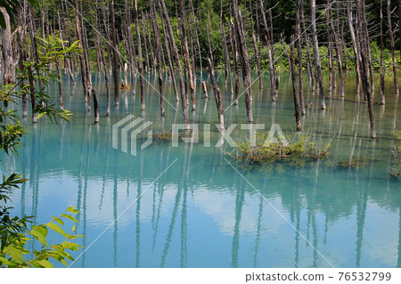 北海道藍塘 76532799