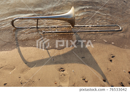 wind instrument lies on the wet sand of a sandy beach, sun glare, summer lyrical concept 76533042