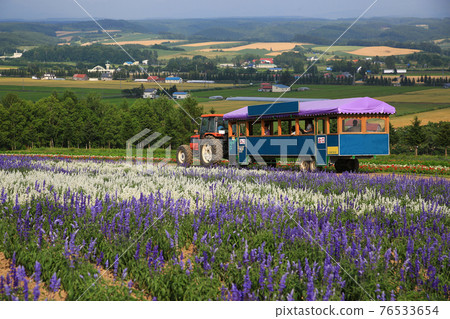 Hokkaido Flower Land 76533654