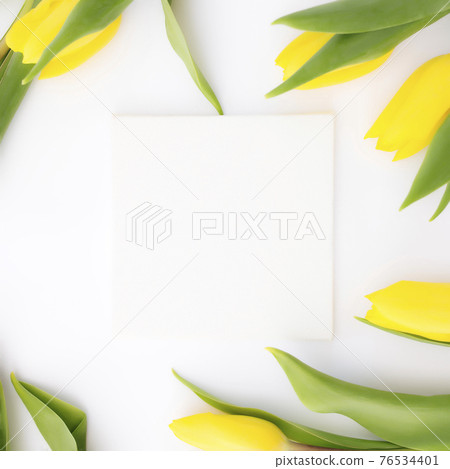 Yellow tulips flat lay on white background, empty picture frame, greeting card Yellow tulips flat lay on white background, empty picture frame, greeting card 76534401