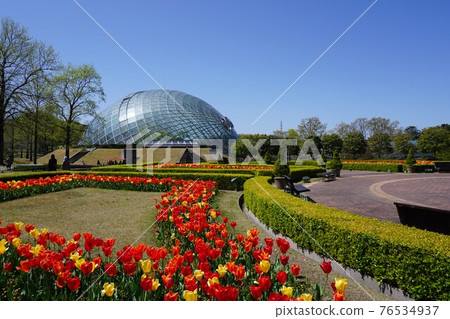 日本最大的花卉公園“Totori Flower Corridor”:Flower Dome 日本最大的花卉公園“Totori Flower Corridor”:Flower Dome 76534937