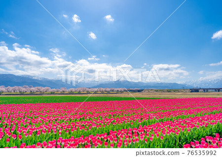 旭船川春季四重奏組[富山縣] 76535992