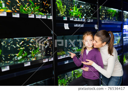 Girl with mother looking at aquarium fish in pet shop Girl with mother looking at aquarium fish in pet shop 76536417
