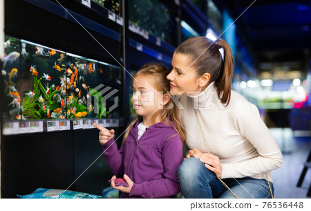 Woman with daughter in search of aquarium fish in pet shop 76536448