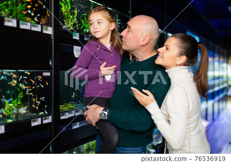 Friendly family searching exotic fish for home fish tank 76536919