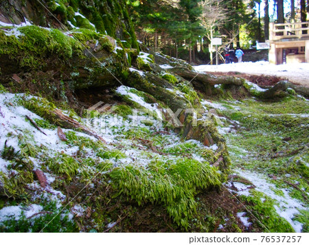 Wakayama Prefecture World Heritage Koyasan Moss and Snow Wakayama Prefecture World Heritage Koyasan Moss and Snow 76537257
