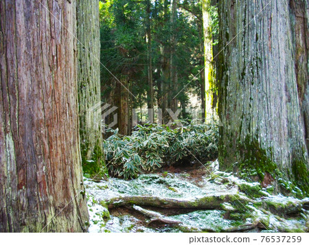 和歌山縣世界遺產高野山隱岐 76537259