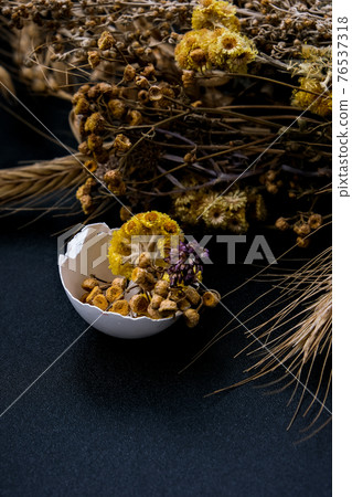 Trendy Easter decorations. Cracked organic eggs with dry grass and dry flowers on plate. Bird feather. Copy space. Greeting card. Dark background. 76537318