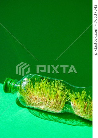 Young green plants in plastic bottle. Ecology and Environmental conversation. Earth day concept. Global pollution of the planet. Seedling 76537342