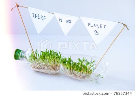 THERE IS NO PLANET B Young green plants in plastic bottle. Ecology and Environmental conversation. Earth day concept. Global pollution of the planet. Seedling THERE IS NO PLANET B Young green plants in plastic bottle. Ecology and Environmental conversation. Earth day concept. Global pollution of the planet. Seedling 76537344