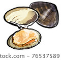 Fresh clam 1 76537589
