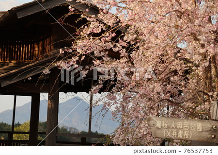 View Yamato Fuji from Hongo Tameike 76537753