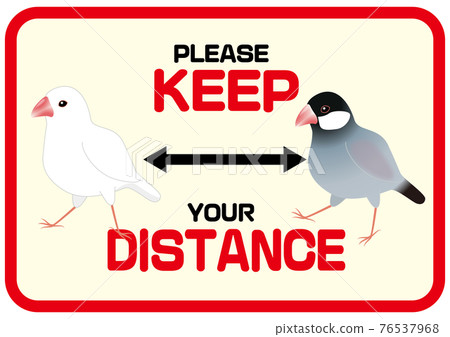 KEEP DISTANCE 我們禮貌地詢問的英語社交距離標誌 鳥類和爪哇麻雀 KEEP DISTANCE 我們禮貌地詢問的英語社交距離標誌 鳥類和爪哇麻雀 76537968