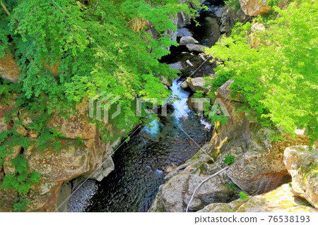 綠色萊斯峽谷 綠色萊斯峽谷 76538193
